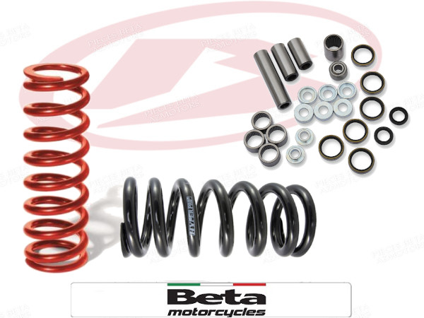 SUSPENSIONS & ROUE ARRIERE BETA RR 2T/4T
 SUSPENSIONS ARRIERE BETA RR 2T/4T DE 2020 A 2023 origine BETA -DISPO