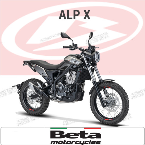 ALP X PiÃ¨ces ALP_X origine BETA 