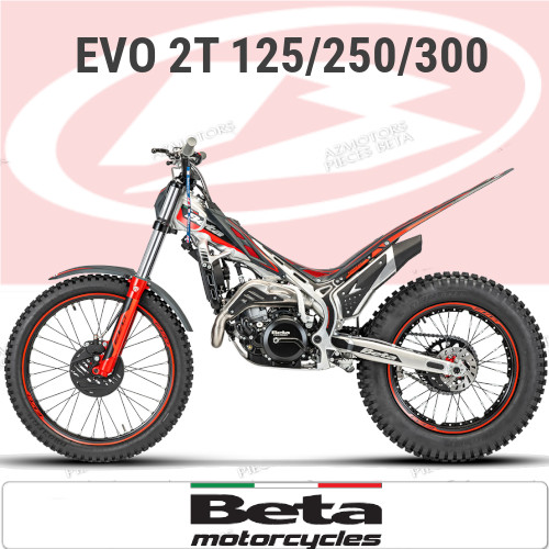PiÃ¨ces EVO 2T 125/250/300 PiÃ¨ces TRIAL EVO 2T 125/250/300 â€“ Entretien et Accessoires Moto origine BETA 