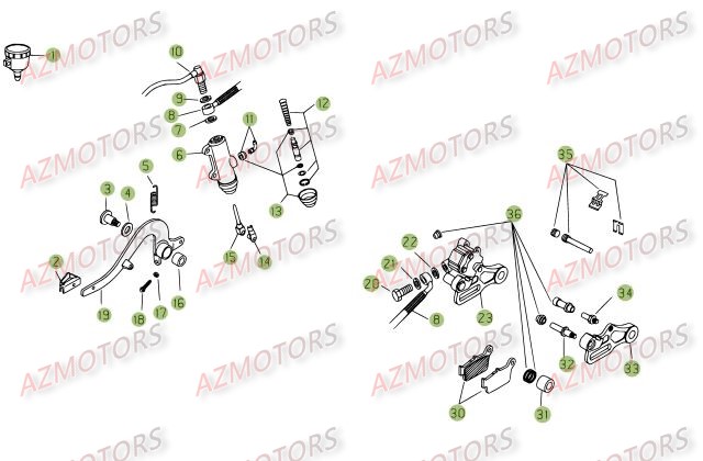 Freins.2 AZMOTORS PiÃ¨ces BETA RR 125 SM 4T - [2007]
