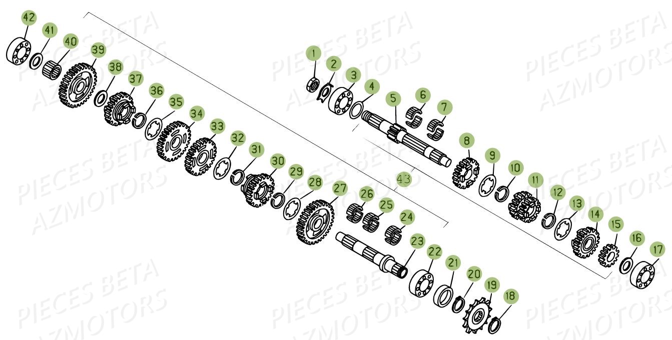 Boite A Vitesses AZMOTORS PiÃ¨ces BETA EVO 250 2T - (2015)