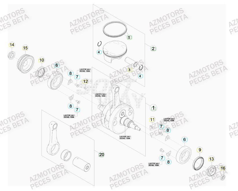 Vilebrequin AZMOTORS PiÃ¨ces BETA RR FACTORY 350cc 4T - [2012]