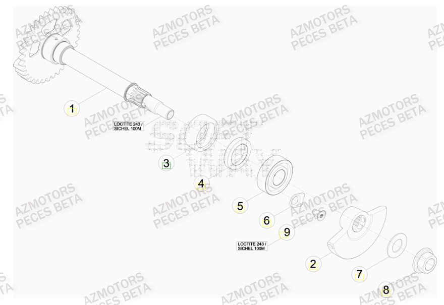 Arbre Equilibrage AZMOTORS PiÃ¨ces BETA RR FACTORY 400cc 4T - [2012]