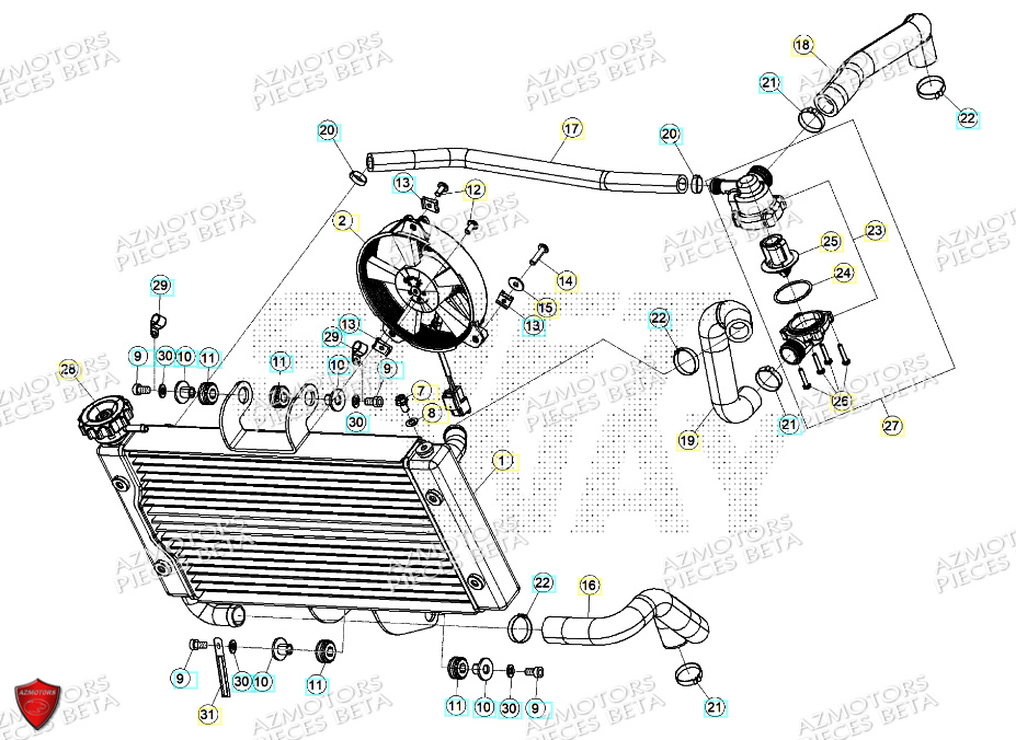 Radiateur AZMOTORS PiÃ¨ces ALP X 350 4T 2024
