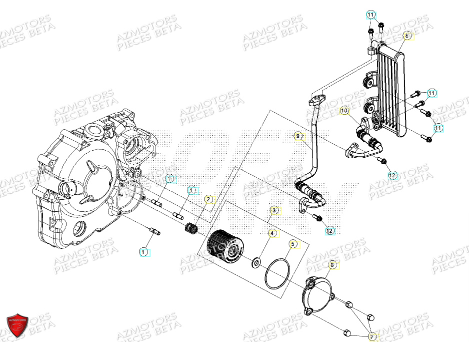 Radiateur D Huile AZMOTORS PiÃ¨ces ALP X 350 4T 2024
