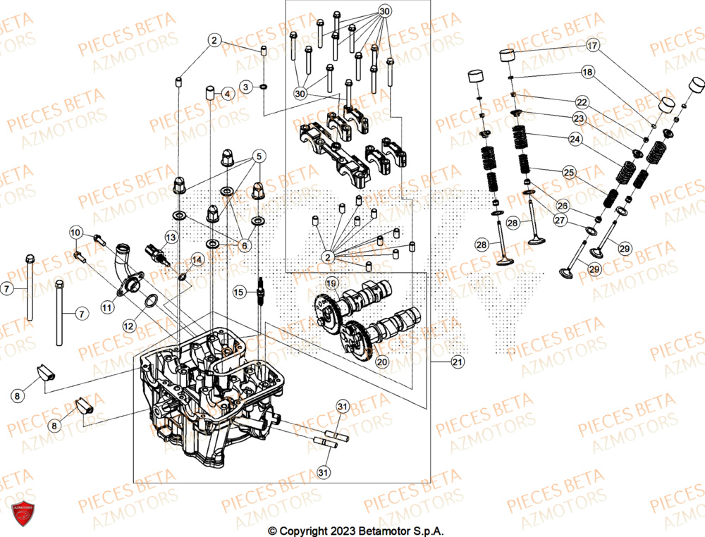 Culasse AZMOTORS PiÃ¨ces ALP X 350 4T 2025
