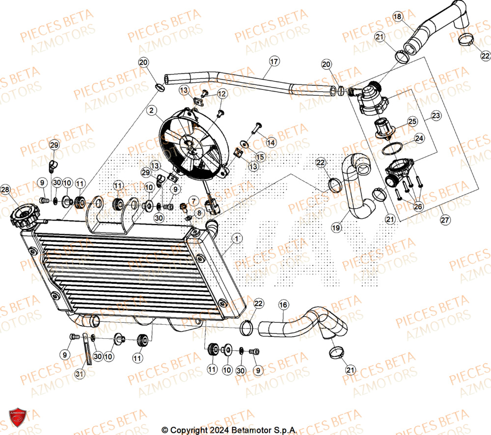Radiateur AZMOTORS PiÃ¨ces ALP X 350 4T 2025
