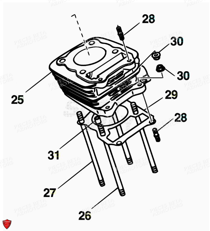 Cylindre AZMOTORS PiÃ¨ces ALP 200 [2014-2015]