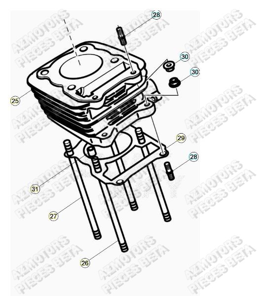 Cylindre AZMOTORS PiÃ¨ces ALP 200 [2022-2023]