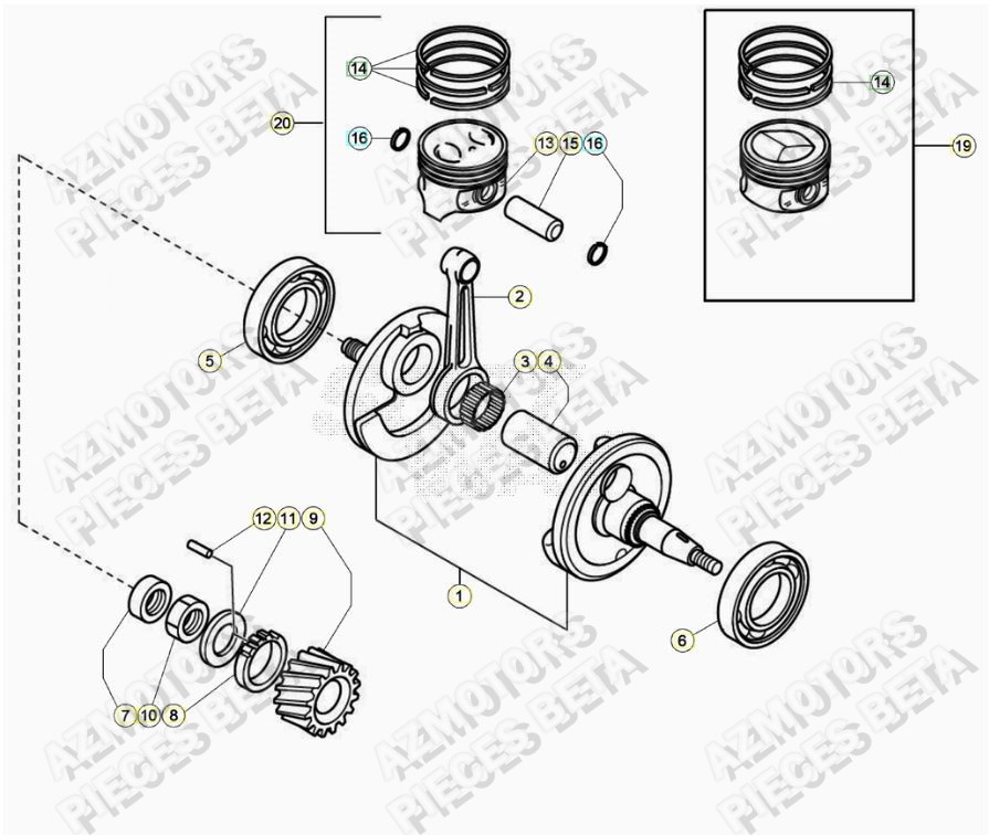 Vilebrequin AZMOTORS PiÃ¨ces ALP 200 [2022-2023]
