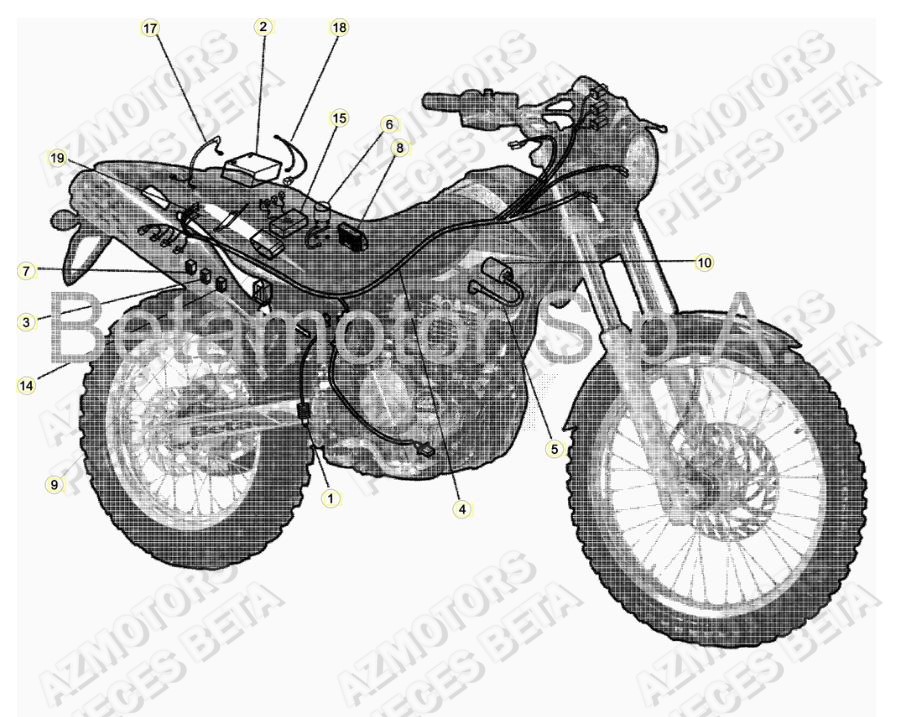 Equipement Electrique AZMOTORS 