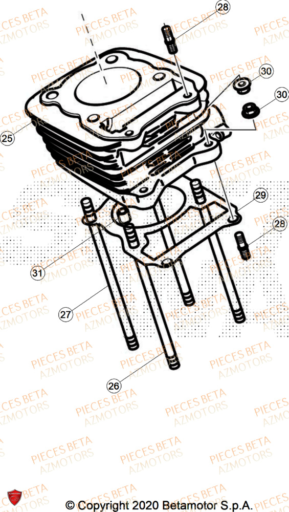 Cylindre AZMOTORS PiÃ¨ces ALP 200 [2024]