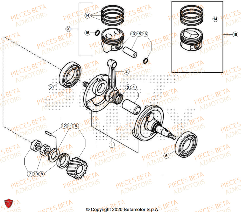Vilebrequin AZMOTORS PiÃ¨ces ALP 200 [2024]
