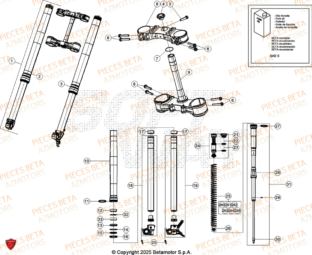 Fourche AZMOTORS Pieces BETA CROSS RX 250 2T - (2026)
