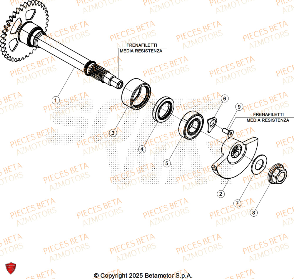 Arbre D Equilibrage AZMOTORS Pieces BETA CROSS RX 450 4T - (2026)