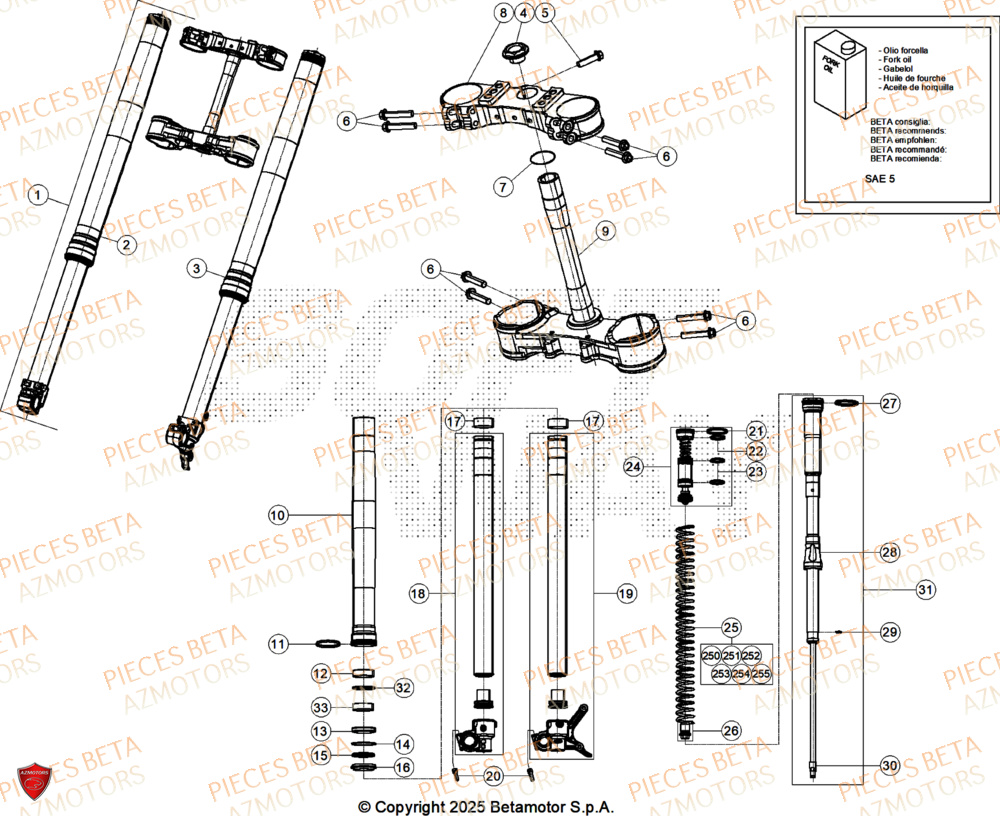 Fourche AZMOTORS Pieces BETA CROSS RX 450 4T - (2026)