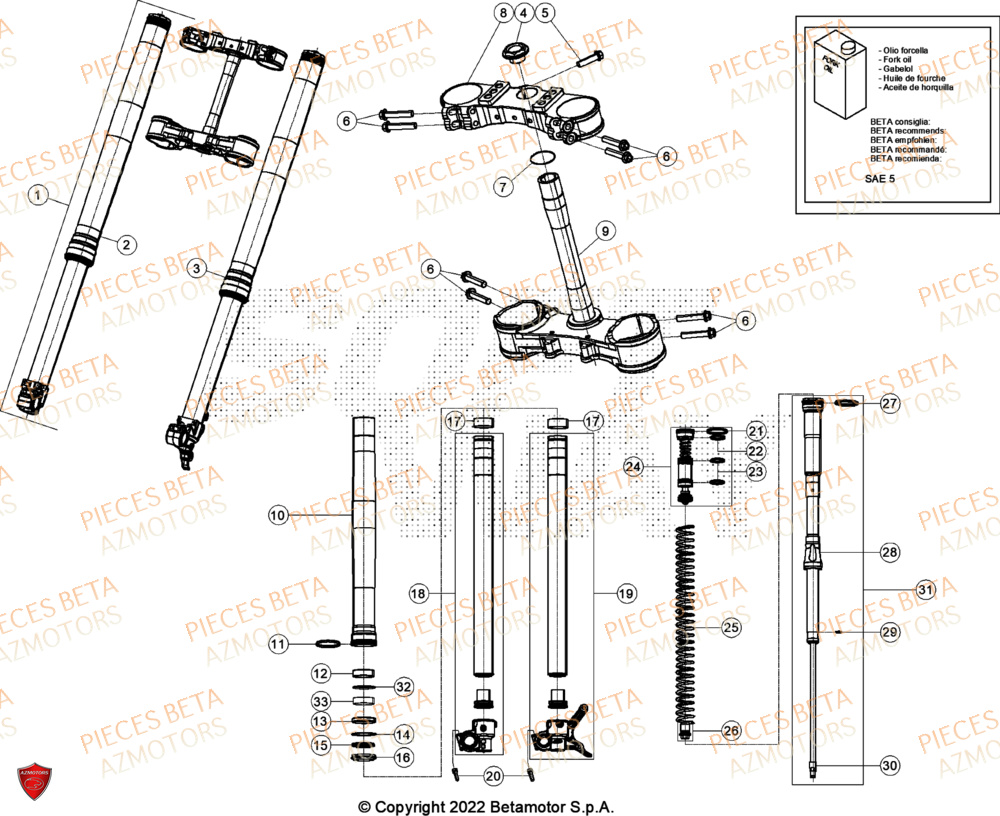 Fourche AZMOTORS Pieces BETA CROSS RX 300 2T - (2024)