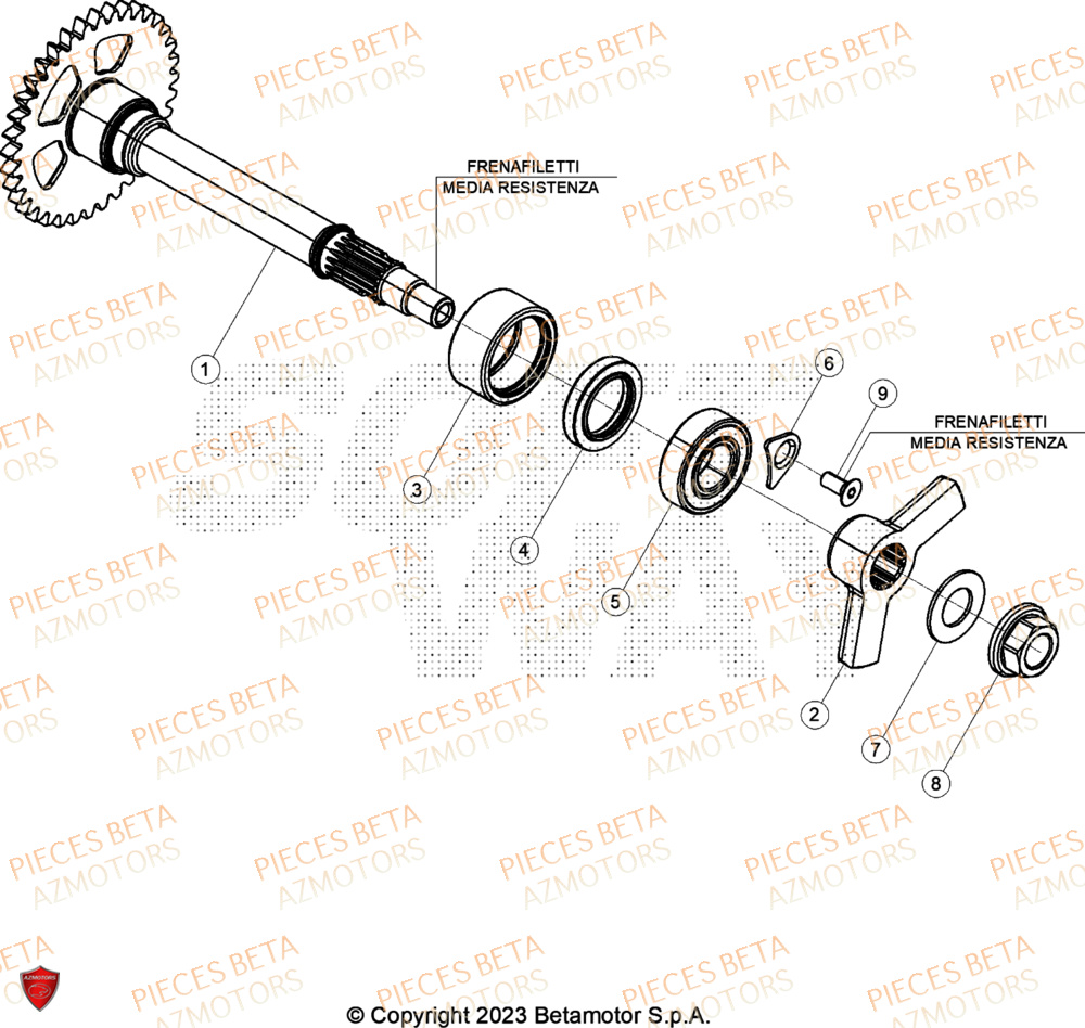 Arbre D Equilibrage AZMOTORS Pieces BETA CROSS RX 450 4T - (2024)