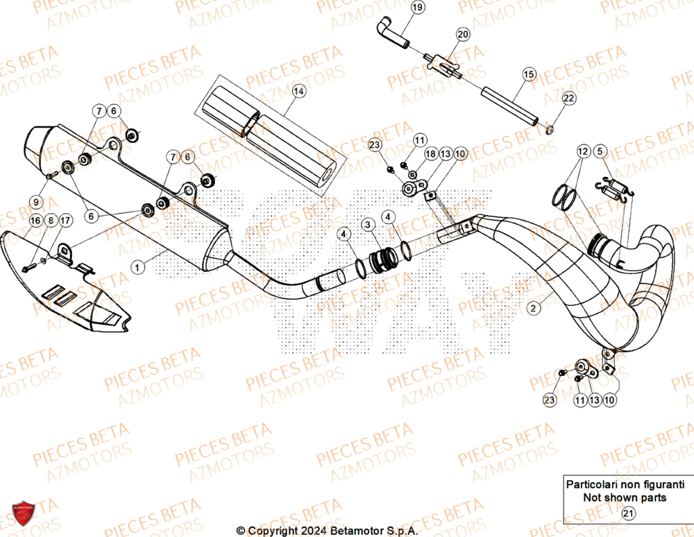 Echappement AZMOTORS Pieces BETA ENDURO RR 300 2T X-PRO - (2026)