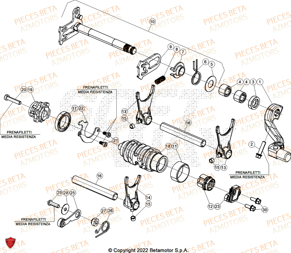 Selecteur De Vitesses AZMOTORS Pieces BETA ENDURO RR 390 4T X-PRO/EURO5+ - (2025)