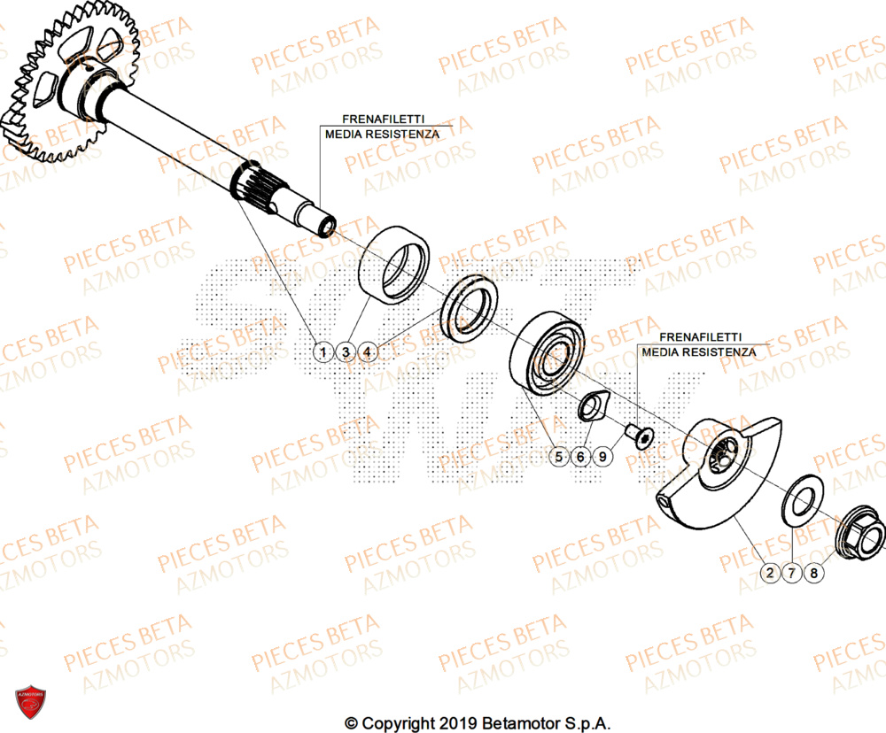Arbre Equilibrage AZMOTORS Pieces BETA ENDURO RR 430 4T RACE/EURO 5+ - (2025)
