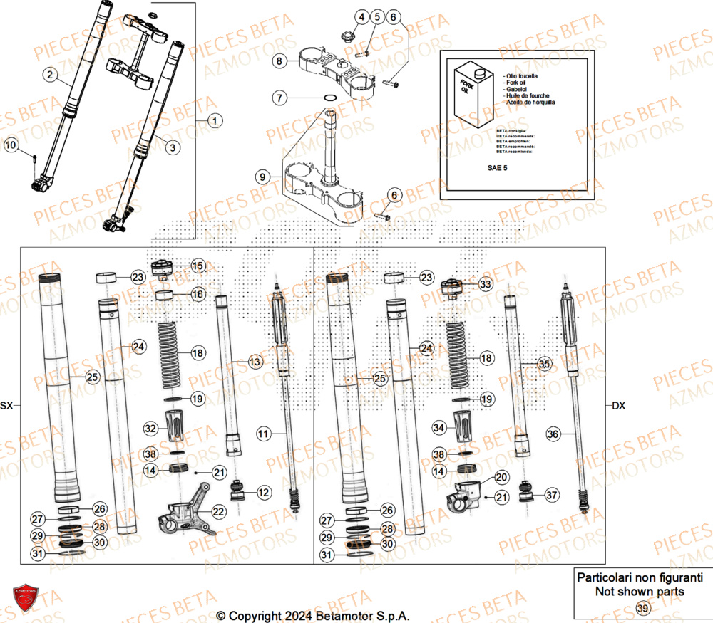 Fourche AZMOTORS Pieces BETA ENDURO RR 300 2T - (2024)
