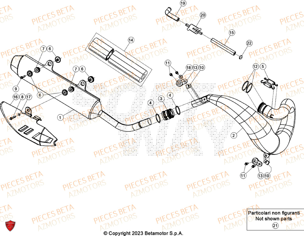 Echappement AZMOTORS Pieces BETA ENDURO RR 300 2T RACING - (2024)
