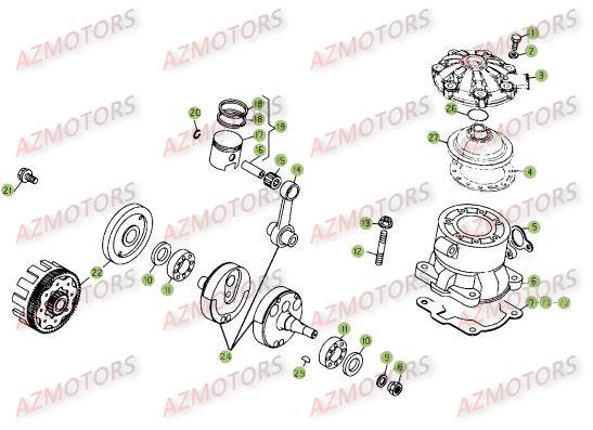 Vilebrequin Piston Contre Arbre AZMOTORS Pieces BETA EVO-290 2T - [2009]