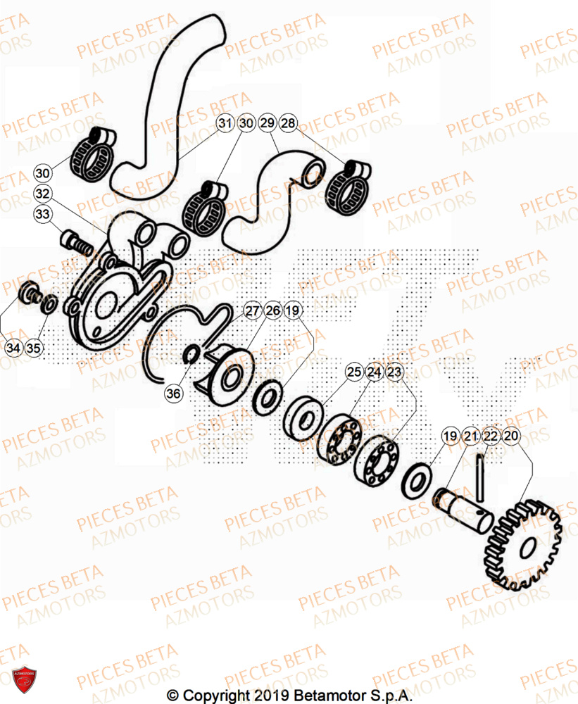 Pompe A Eau AZMOTORS PiÃ¨ces Beta TRIAL EVO 200 FACTORY 2T 2024