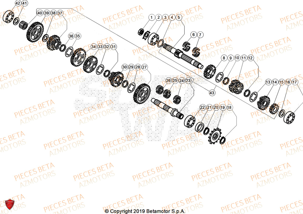 Transmission AZMOTORS PiÃ¨ces Beta TRIAL EVO 200 FACTORY 2T 2024