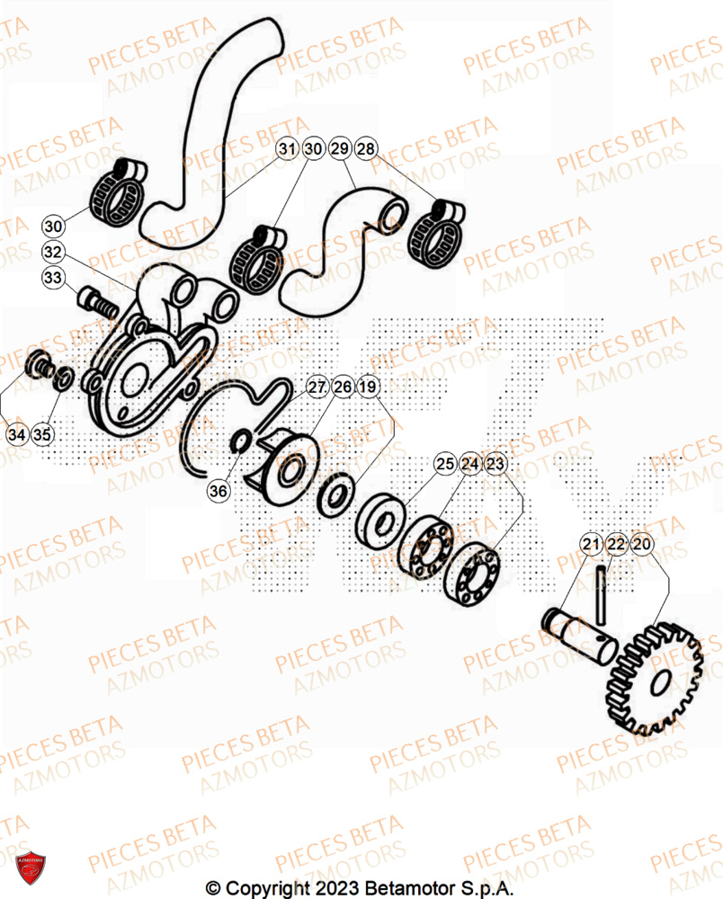 Pompe A Eau AZMOTORS PiÃ¨ces BETA EVO 250 2T - [2025]