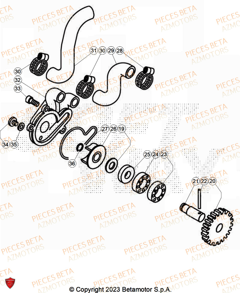 Pompe A Eau AZMOTORS PiÃ¨ces Beta TRIAL EVO 250 FACTORY 2T 2024