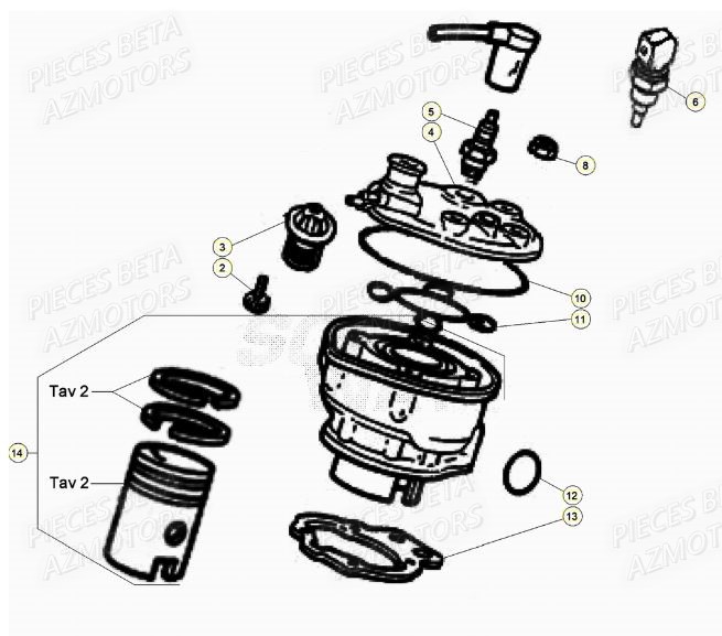 Cylindre AZMOTORS BETA Motard TRACK 2T 50 (2020)