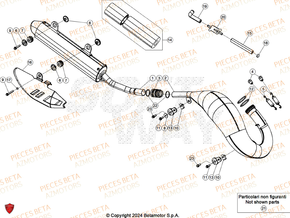 Echappement AZMOTORS Pieces Beta RR 200 RACE 2T - 2026