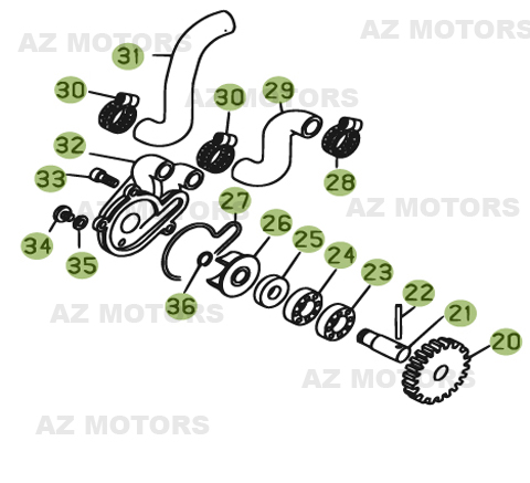 Circuit De Lubrification AZMOTORS PiÃ¨ces BETA REV 3-270cc  - [2006]