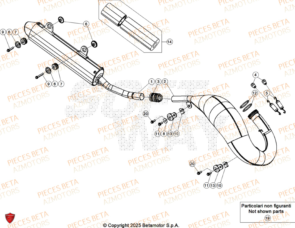 Echappement AZMOTORS PiÃ¨ces Beta RR 125 2T RACE - 2026