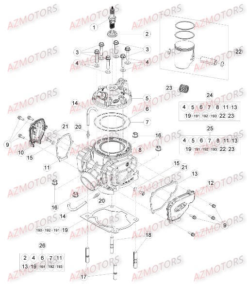 Cylindre Culasse Distribution AZMOTORS Pieces BETA RR 2T 250 - (2016)