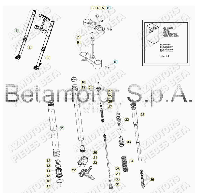 Fourche AZMOTORS Pieces BETA RR 2T 250 RACING - (2017)