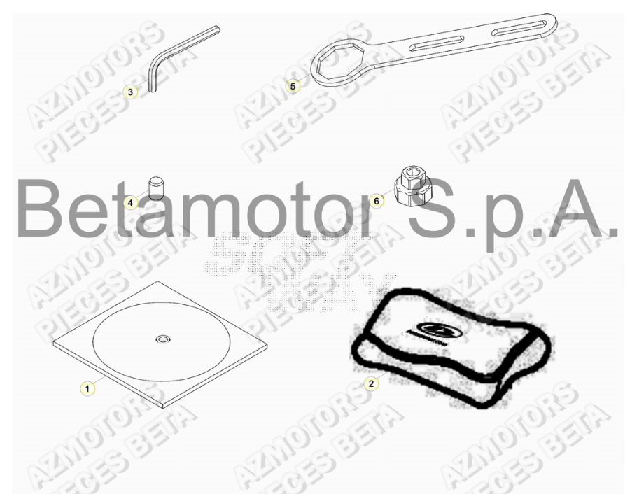 Manuel AZMOTORS Pieces BETA RR 2T 250 RACING - (2017)