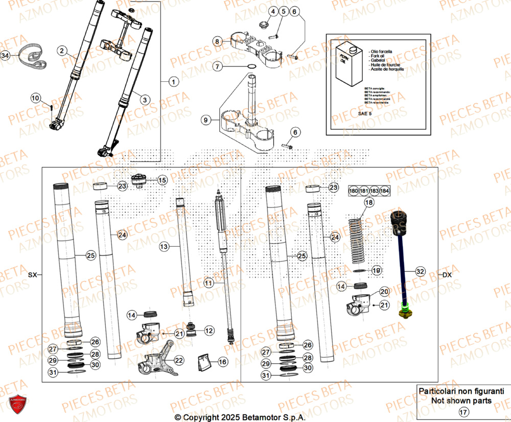 Fourche AZMOTORS Pieces BETA RR 2T 250 X-PRO - (2026)