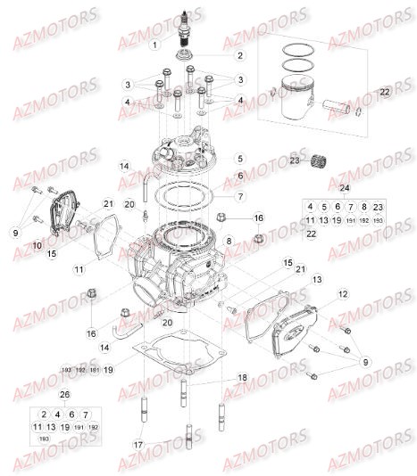 Cylindre Culasse Distribution AZMOTORS Pieces BETA RR 2T 250 - (2015)