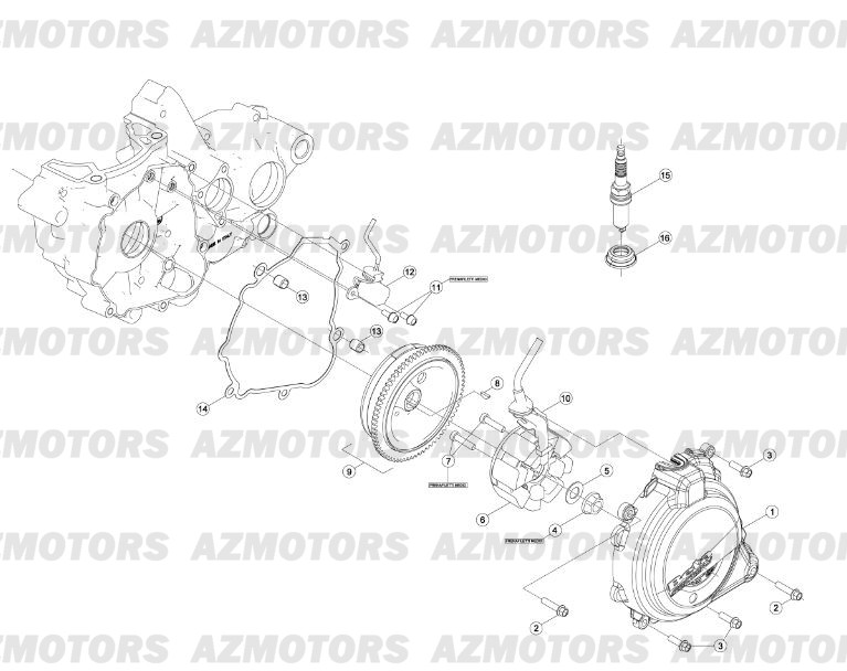 Allumage AZMOTORS PiÃ¨ces BETA RR 2T 300 - (2013)