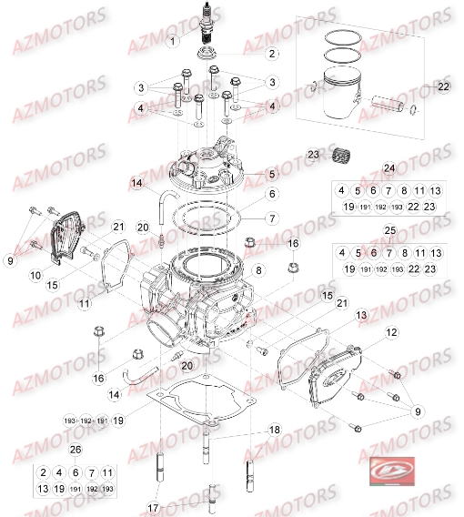 Cylindre Culasse Distribution AZMOTORS Pieces BETA RR 2T 300 - (2016)