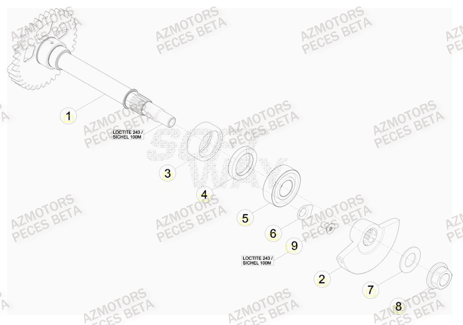 Arbre Equilibrage AZMOTORS PiÃ¨ces Beta RR 4T 520 Enduro - 2010