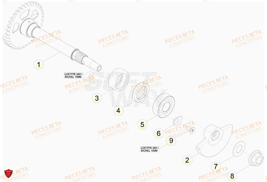 Arbre Equilibrage AZMOTORS PiÃ¨ces BETA RR 520CC FACTORY 4T - [2011]