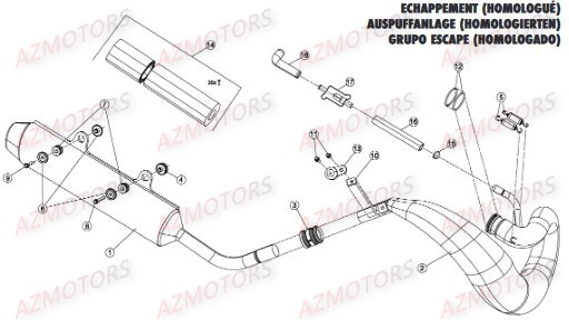 Echappement Homologue Route AZMOTORS Pieces BETA RR RACING 2T 250 - [2015]