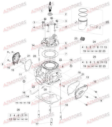 Cylindre AZMOTORS Pieces BETA RR RACING 2T 300 - [2016]