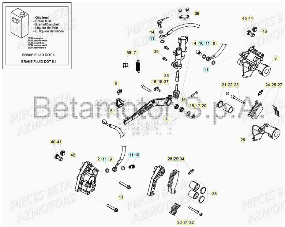 Freins AZMOTORS PiÃ¨ces RR 125 2T - 2019