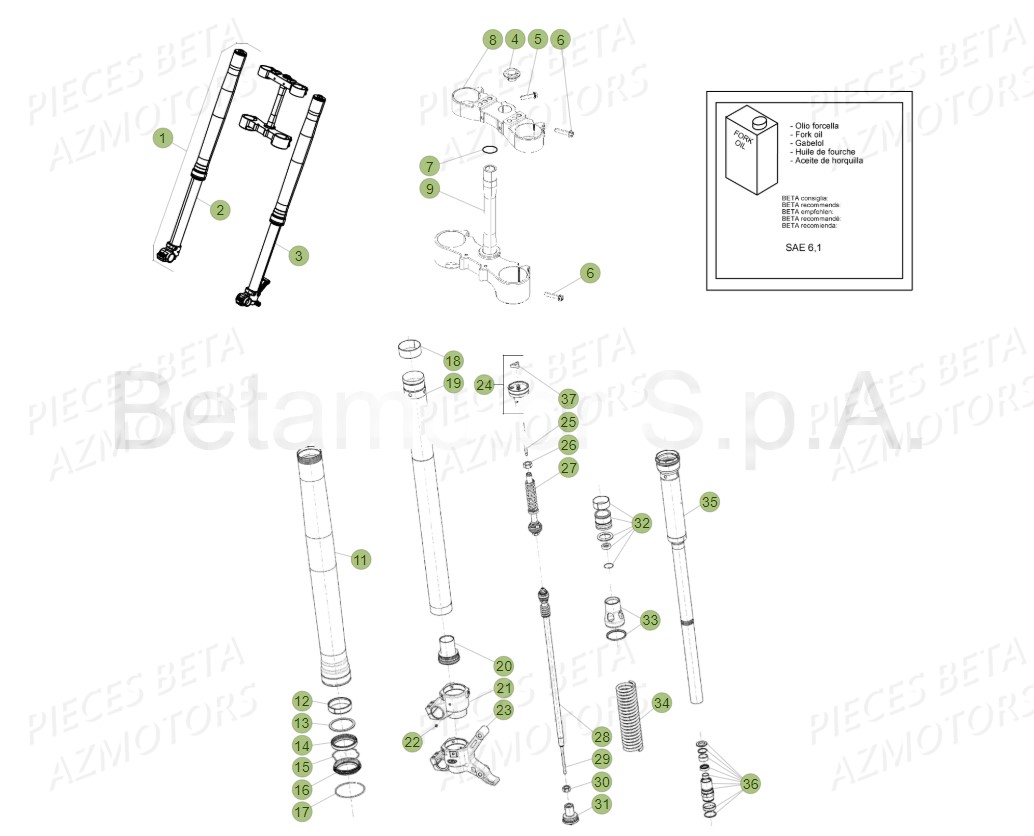 Fourche AZMOTORS PiÃ¨ces RR 125 RACING 2T - 2019