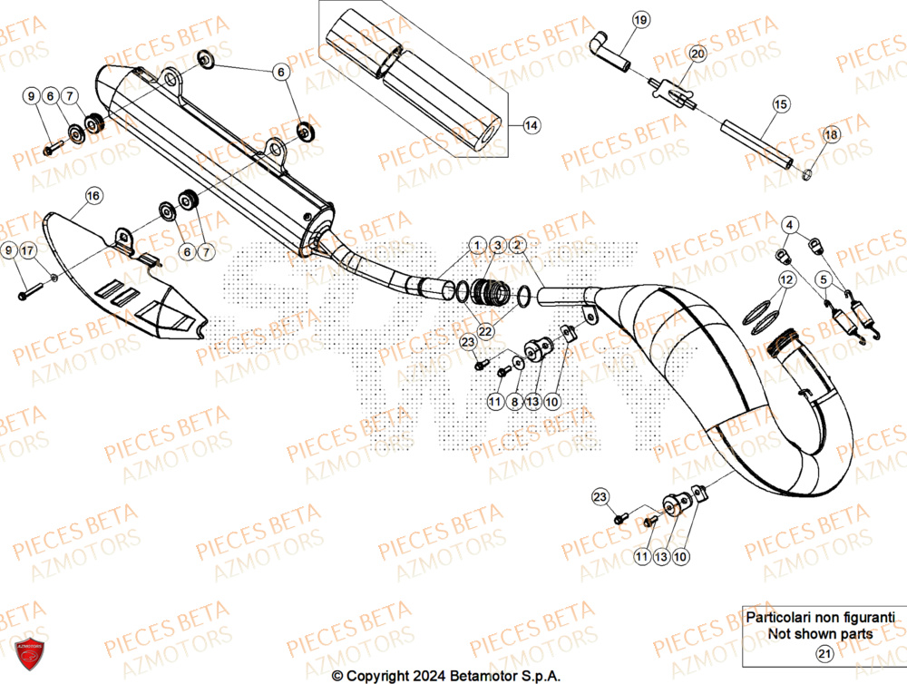 Echappement AZMOTORS PiÃ¨ces RR 200 RACE 2T - 2025